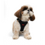 TailPetz Airmesh Black Köpek Göğüs Tasması S