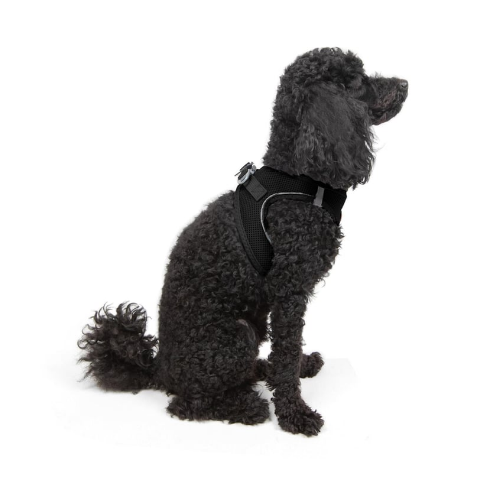 TailPetz Airmesh Black Köpek Göğüs Tasması XS