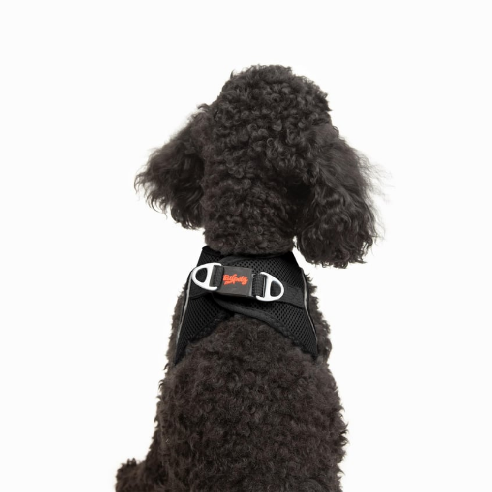 TailPetz Airmesh Black Köpek Göğüs Tasması XS