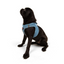 TailPetz Airmesh Blue Köpek Göğüs Tasması M