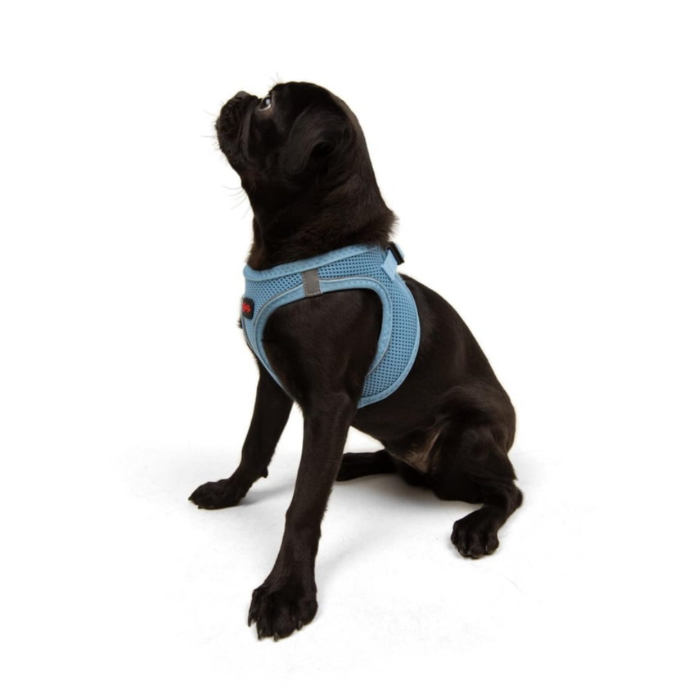 TailPetz Airmesh Blue Köpek Göğüs Tasması M