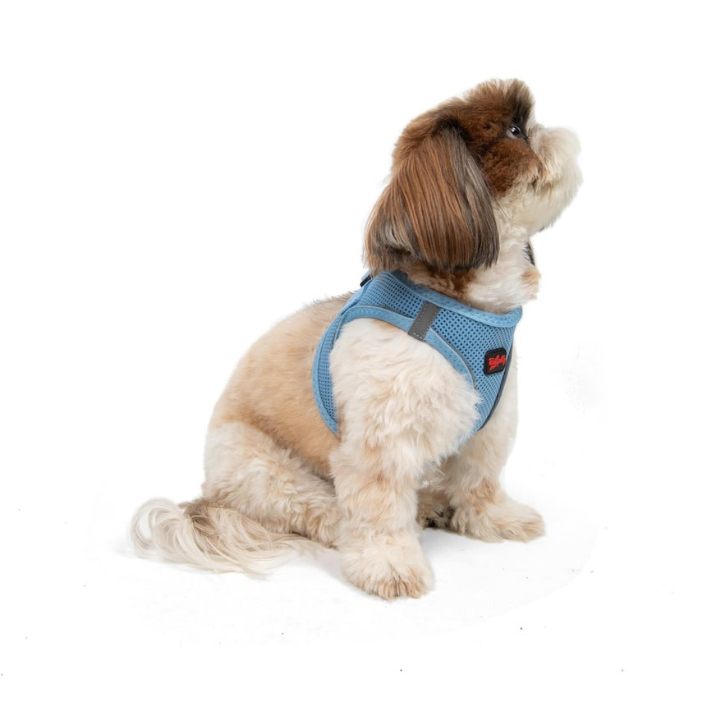 TailPetz Airmesh Blue Köpek Göğüs Tasması S