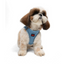 TailPetz Airmesh Blue Köpek Göğüs Tasması S