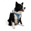 TailPetz Airmesh Blue Köpek Göğüs Tasması XL