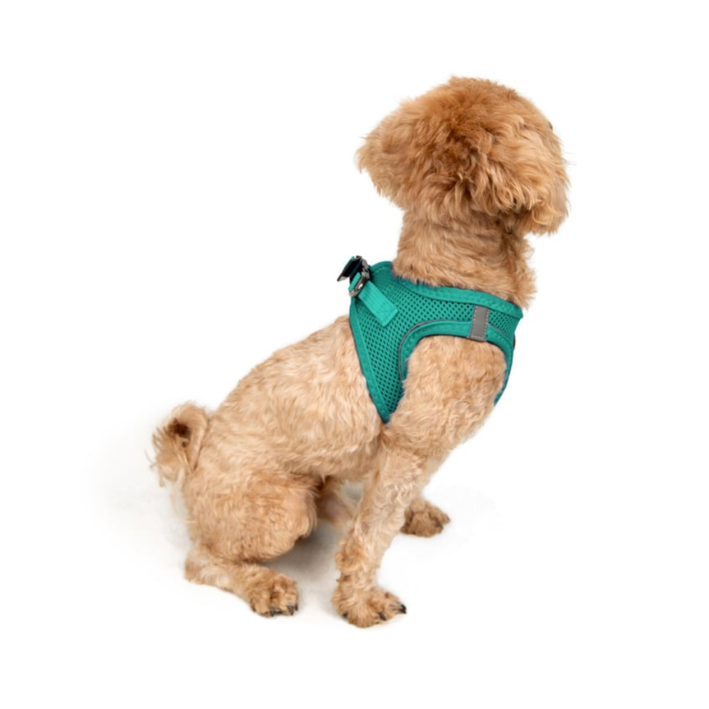 TailPetz Airmesh Emerald Köpek Göğüs Tasması 3XS