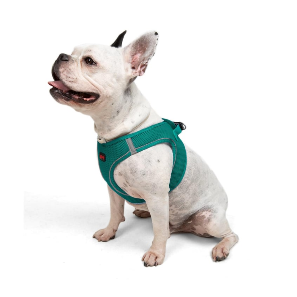 TailPetz Airmesh Emerald Köpek Göğüs Tasması L