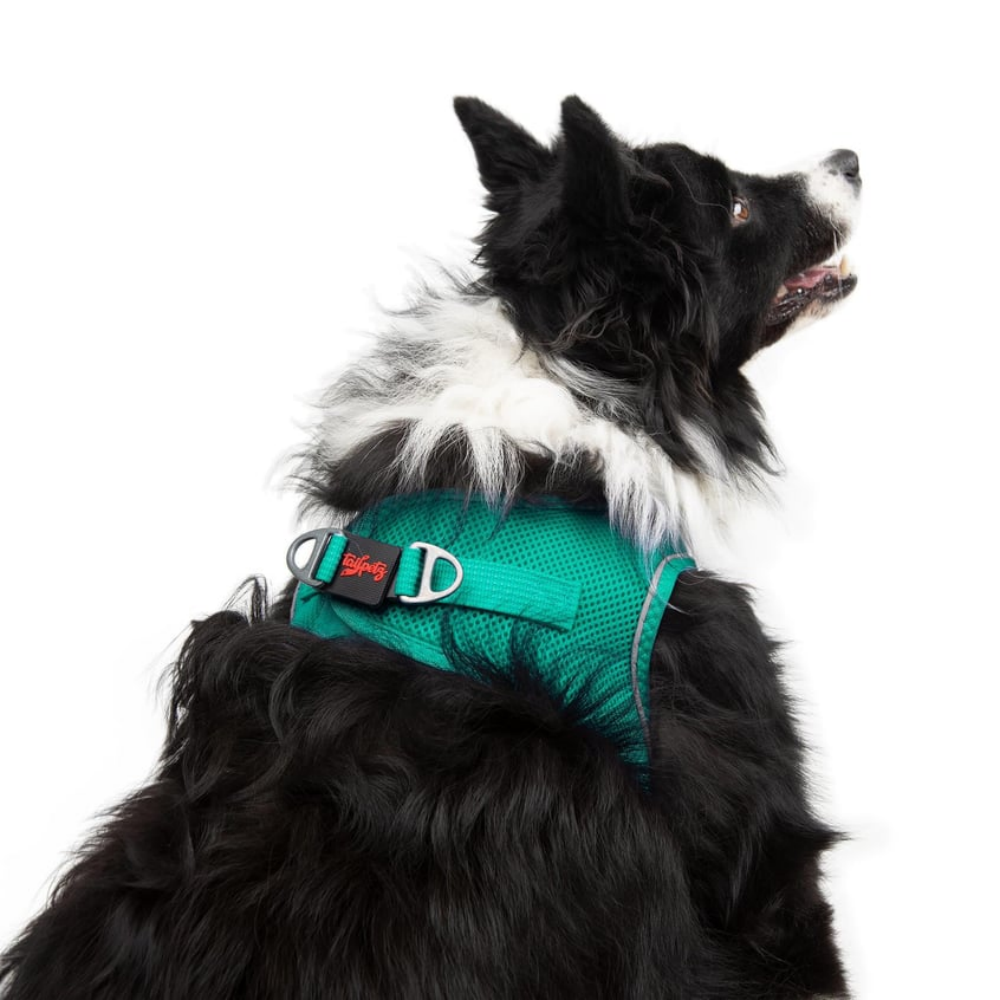 TailPetz Airmesh Emerald Köpek Göğüs Tasması XL