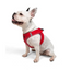 Tailpetz Airmesh Harness Garnet Köpek Göğüs Tasması L