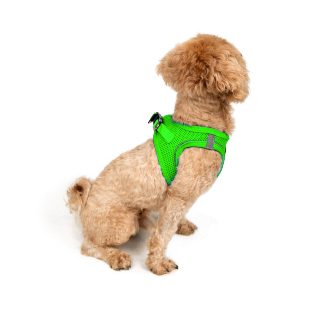 TailPetz Airmesh Neo Green Köpek Göğüs Tasması 2XS