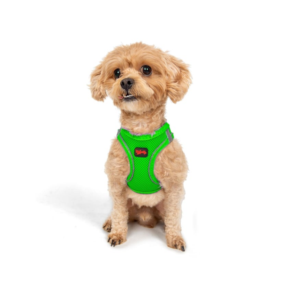 TailPetz Airmesh Neo Green Köpek Göğüs Tasması 2XS