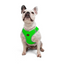TailPetz Airmesh Neo Green Köpek Göğüs Tasması L