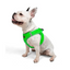 TailPetz Airmesh Neo Green Köpek Göğüs Tasması L