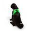 TailPetz Airmesh Neo Green Köpek Göğüs Tasması M