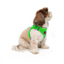 TailPetz Airmesh Neo Green Köpek Göğüs Tasması S
