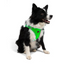 TailPetz Airmesh Neo Green Köpek Göğüs Tasması XL