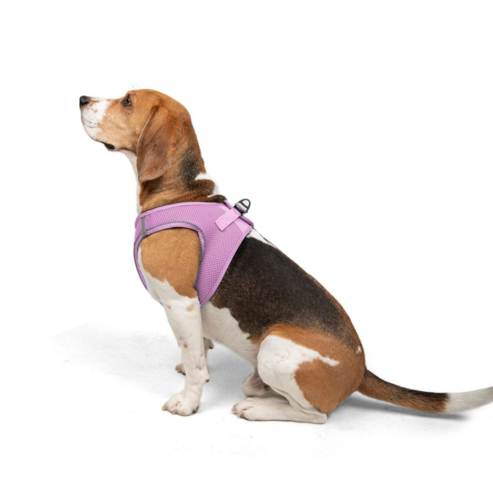 Tailpetz Airmesh Harness Lılac Köpek Göğüs Tasması L