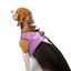 Tailpetz Airmesh Harness Lılac Köpek Göğüs Tasması L