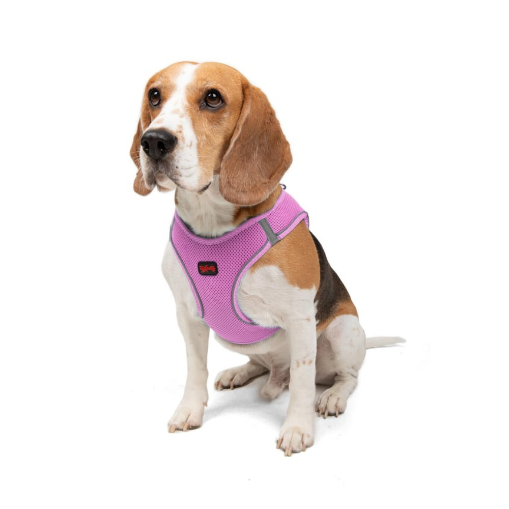 Tailpetz Airmesh Harness Lılac Köpek Göğüs Tasması L
