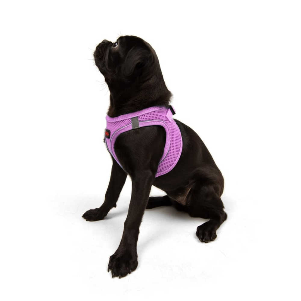 Tailpetz Airmesh Harness Lılac Köpek Göğüs Tasması M