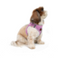 Tailpetz Airmesh Harness Lılac Köpek Göğüs Tasması S