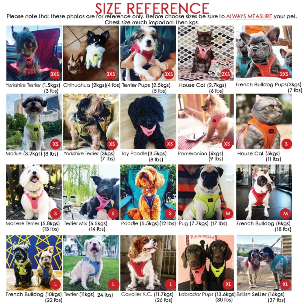 Tailpetz Airmesh Harness Lılac Köpek Göğüs Tasması S