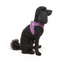 Tailpetz Airmesh Harness Lılac Köpek Göğüs Tasması XS