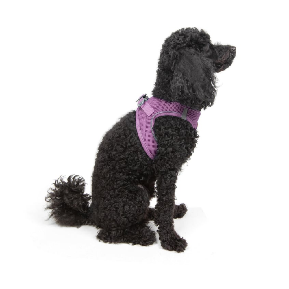 Tailpetz Airmesh Harness Lılac Köpek Göğüs Tasması XS