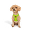 TailPetz Airmesh Neo Lime Köpek Göğüs Tasması 2XS