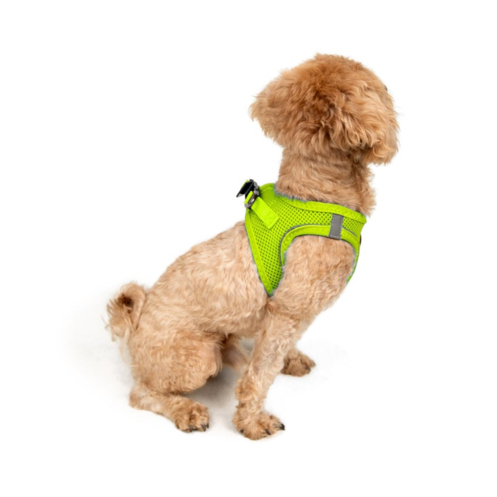 TailPetz Airmesh Neo Lime Köpek Göğüs Tasması 3XS