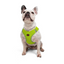 TailPetz Airmesh Neo Lime Köpek Göğüs Tasması L