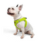 TailPetz Airmesh Neo Lime Köpek Göğüs Tasması L