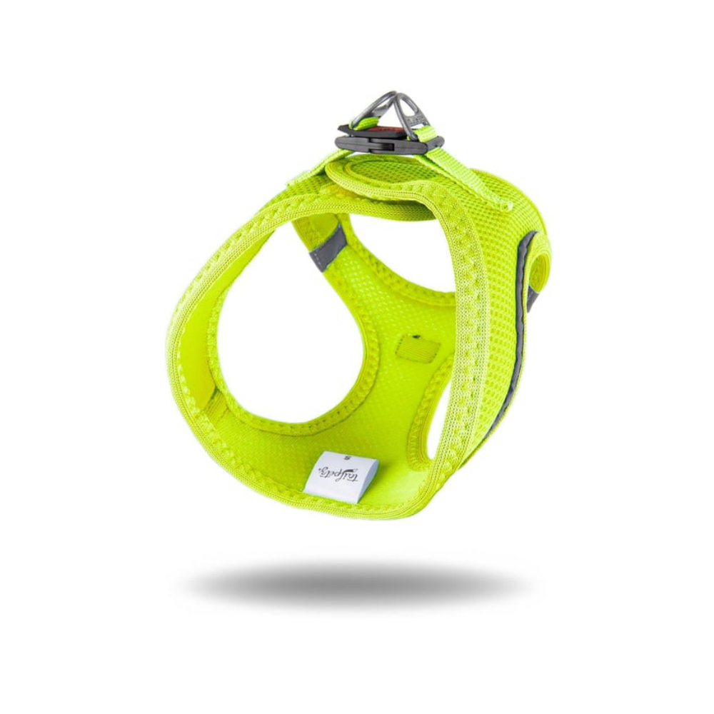 TailPetz Airmesh Neo Lime Köpek Göğüs Tasması XL