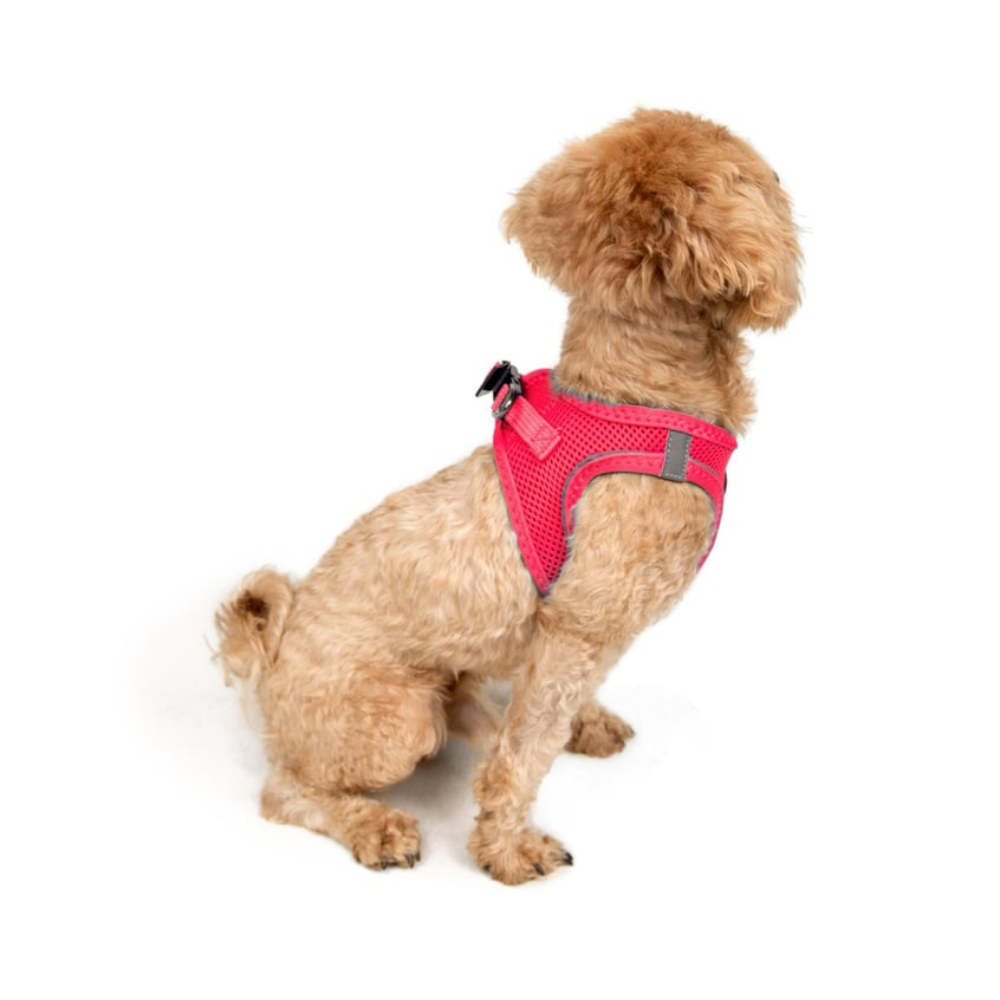 TailPetz Airmesh Neo Pink Köpek Göğüs Tasması 2XS
