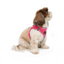 TailPetz Airmesh Neo Pink Köpek Göğüs Tasması S