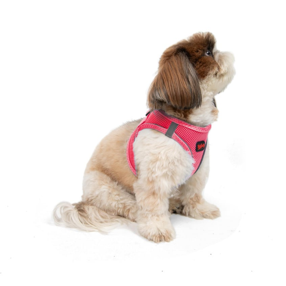 TailPetz Airmesh Neo Pink Köpek Göğüs Tasması S
