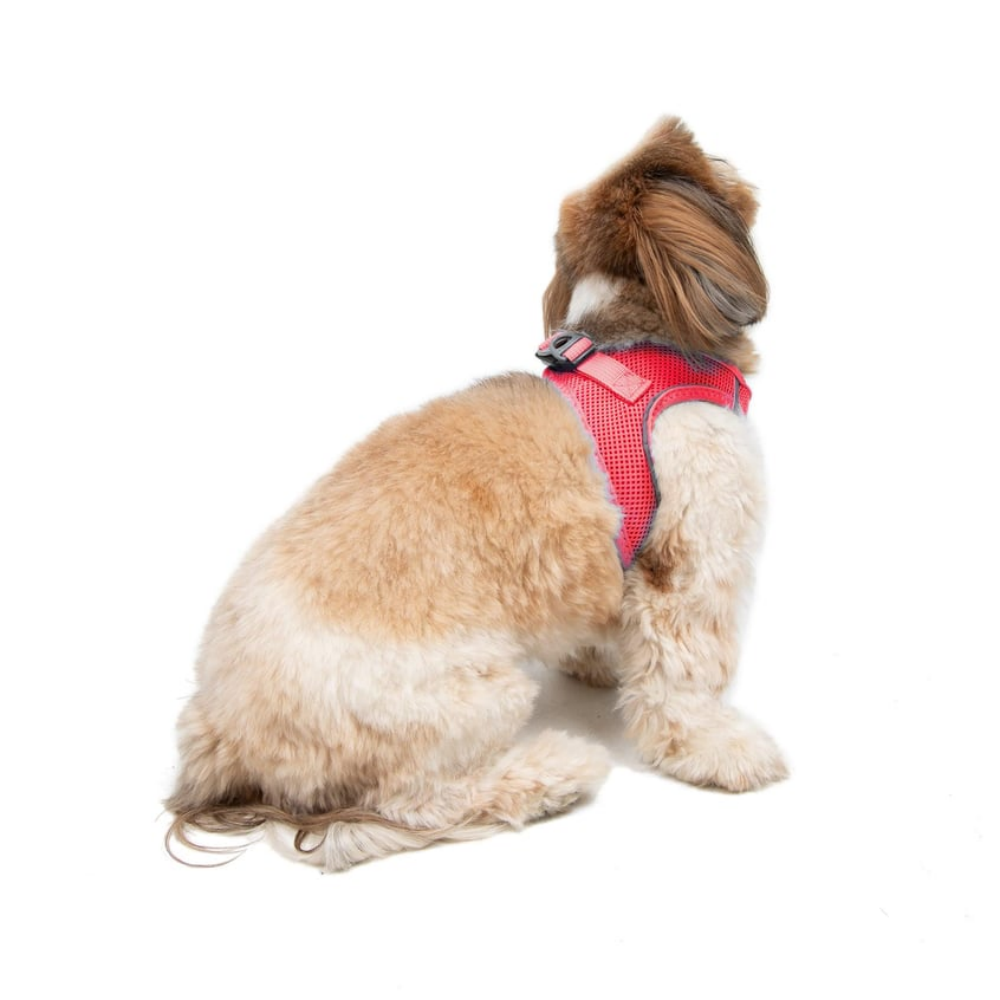 TailPetz Airmesh Neo Pink Köpek Göğüs Tasması S