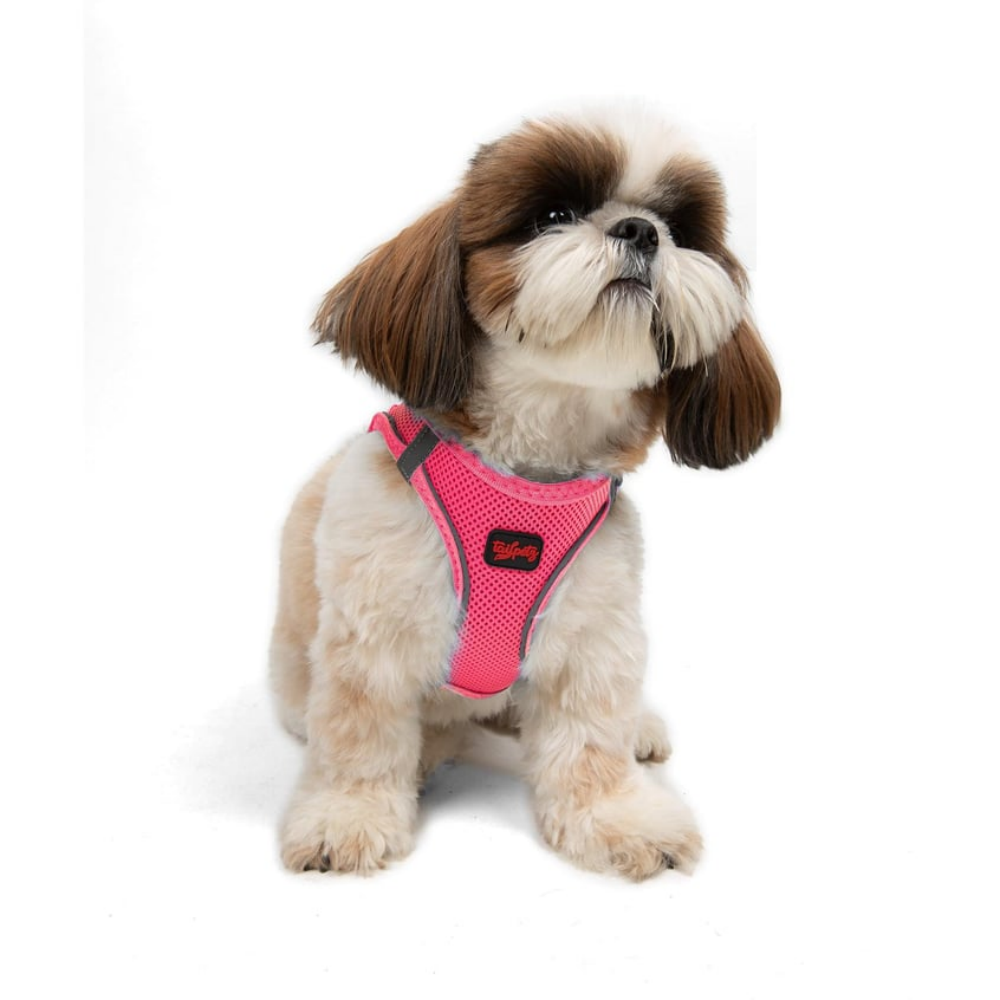 TailPetz Airmesh Neo Pink Köpek Göğüs Tasması S