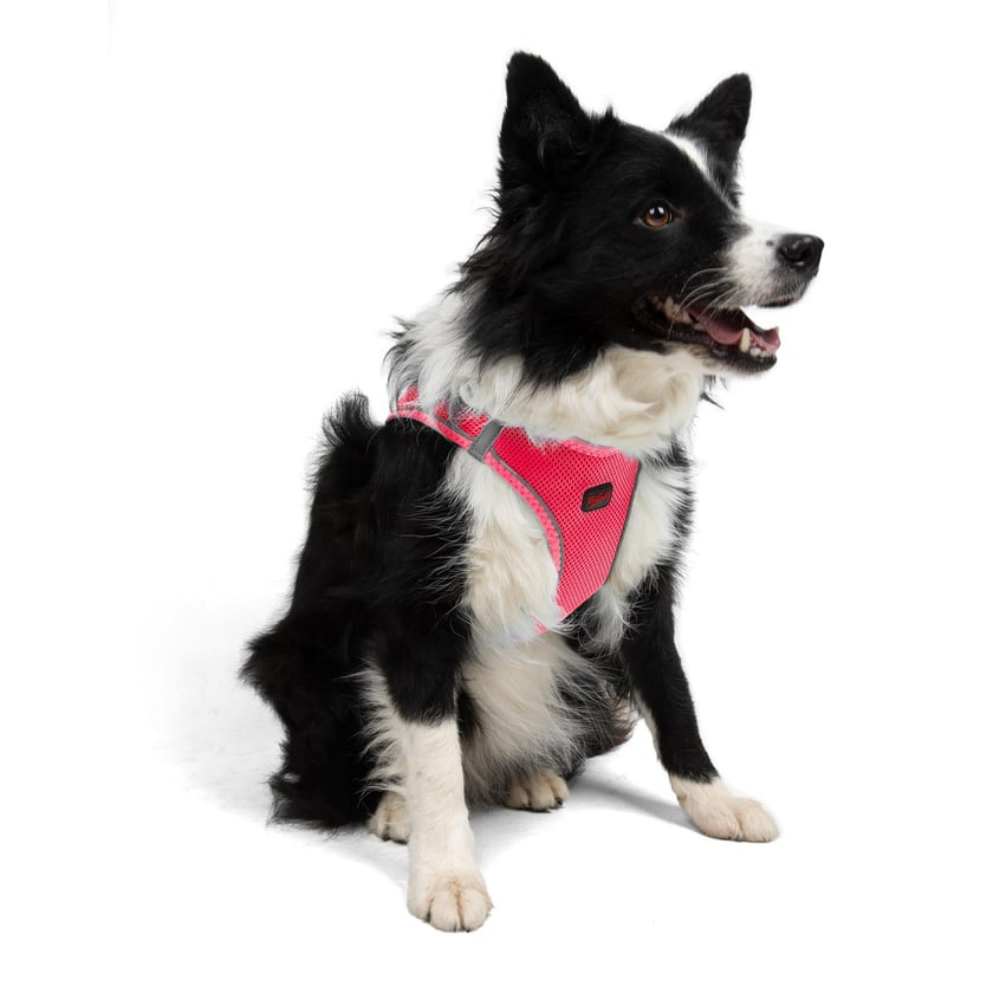 TailPetz Airmesh Neo Pink Köpek Göğüs Tasması XL