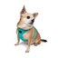 TailPetz Airmesh Ocean Köpek Göğüs Tasması 2XS