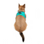 TailPetz Airmesh Ocean Köpek Göğüs Tasması 2XS