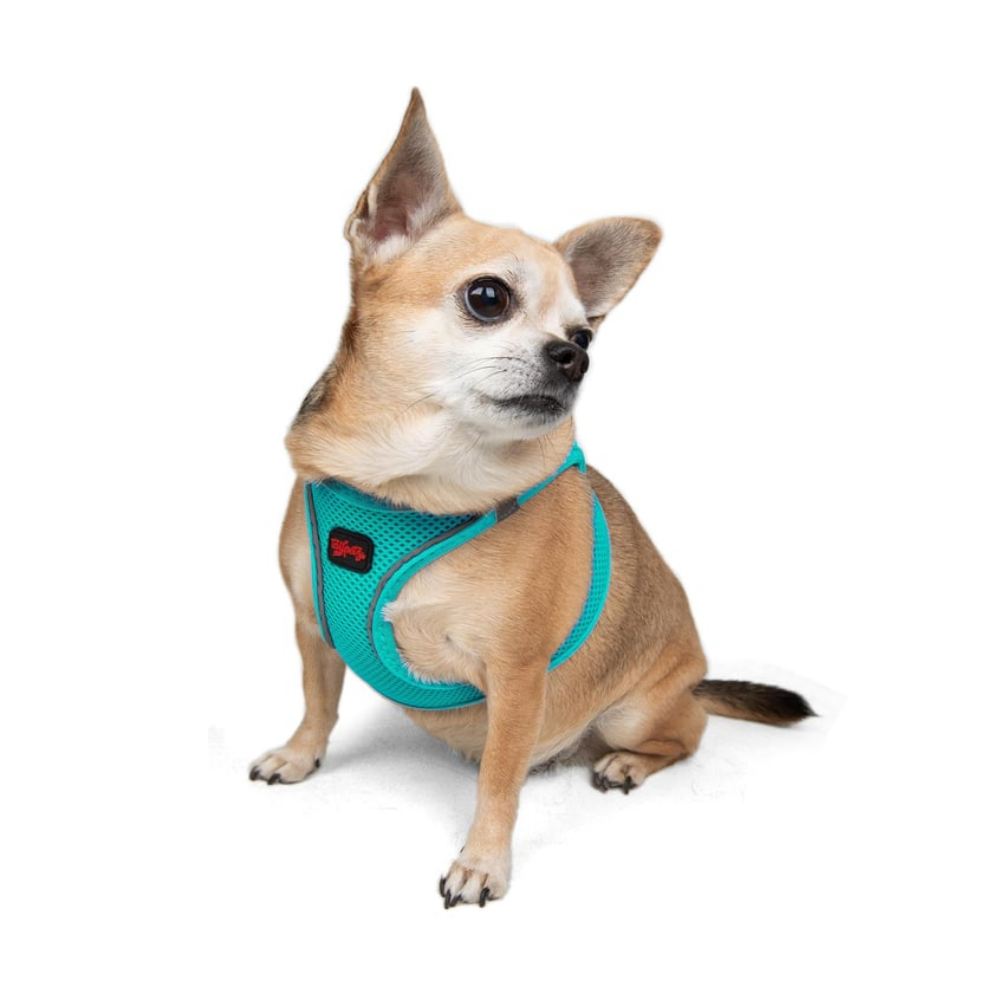 TailPetz Airmesh Ocean Köpek Göğüs Tasması 3XS