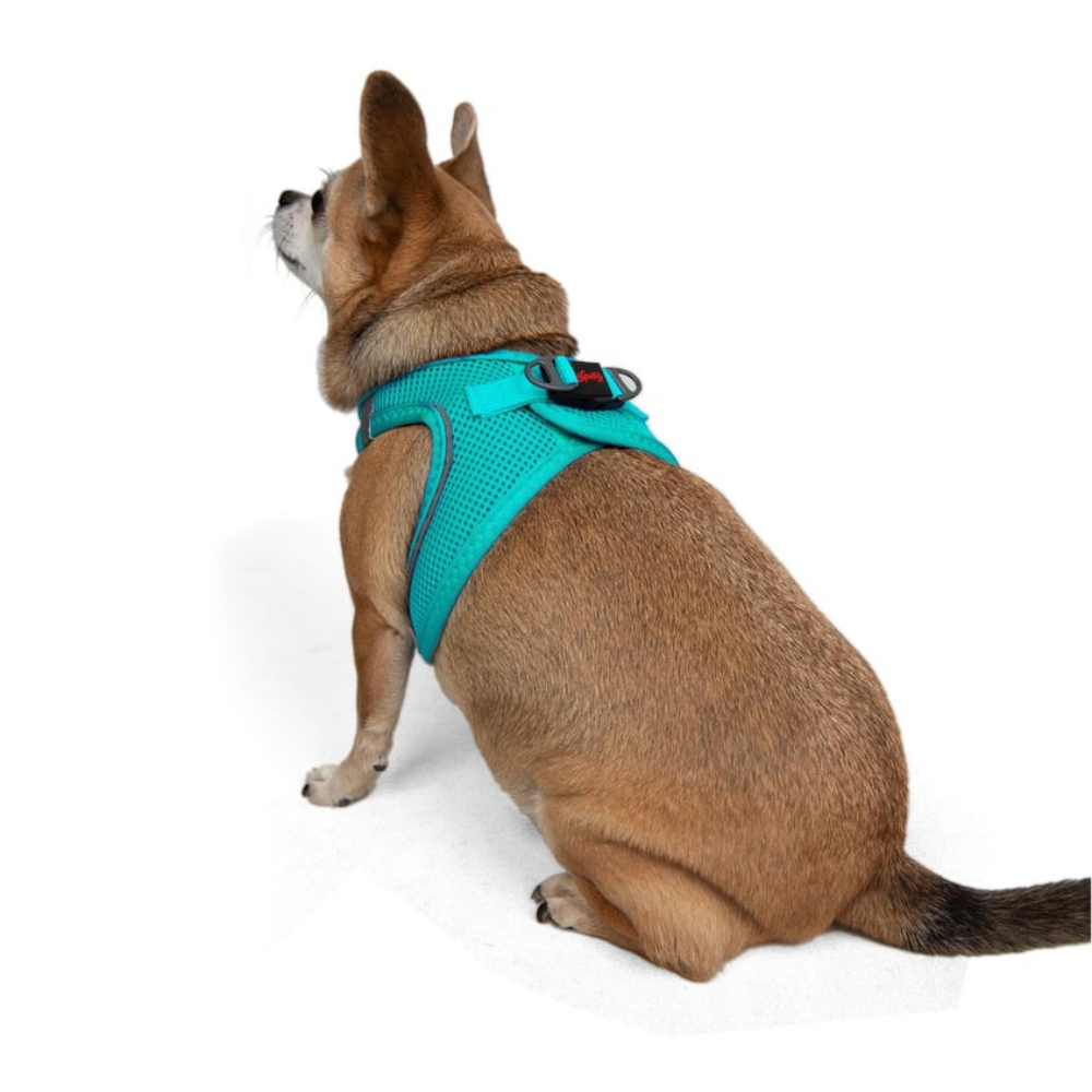 TailPetz Airmesh Ocean Köpek Göğüs Tasması 3XS