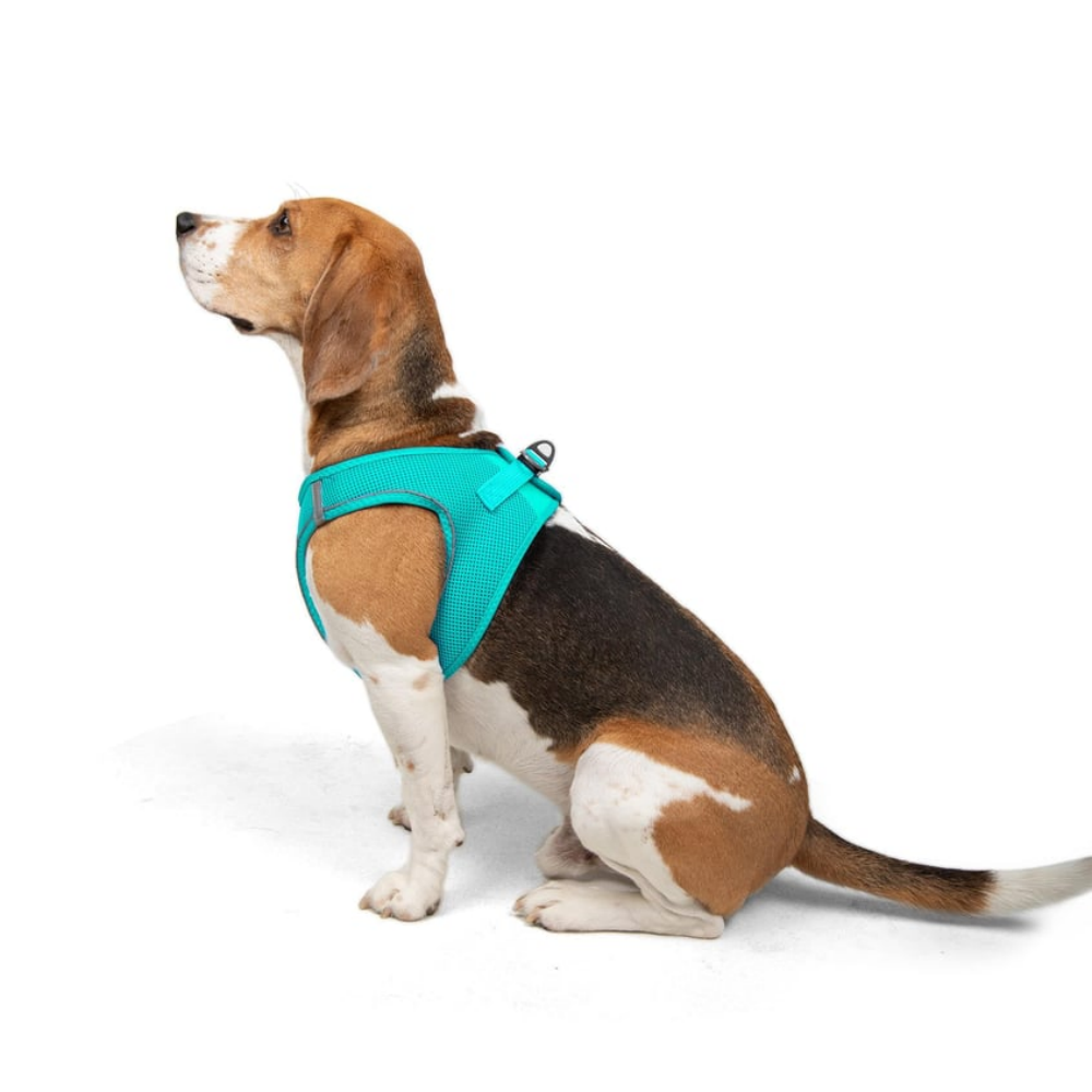 TailPetz Airmesh Ocean Köpek Göğüs Tasması L