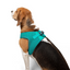TailPetz Airmesh Ocean Köpek Göğüs Tasması L