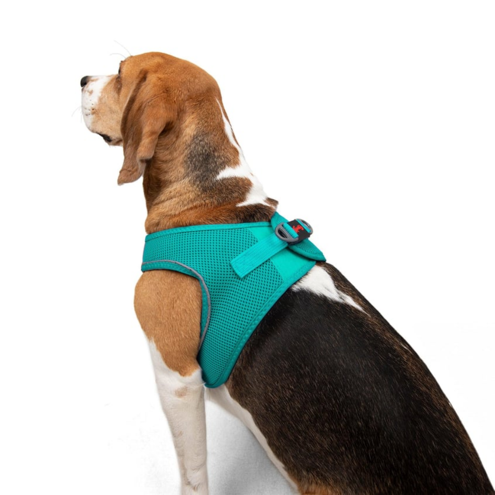 TailPetz Airmesh Ocean Köpek Göğüs Tasması L