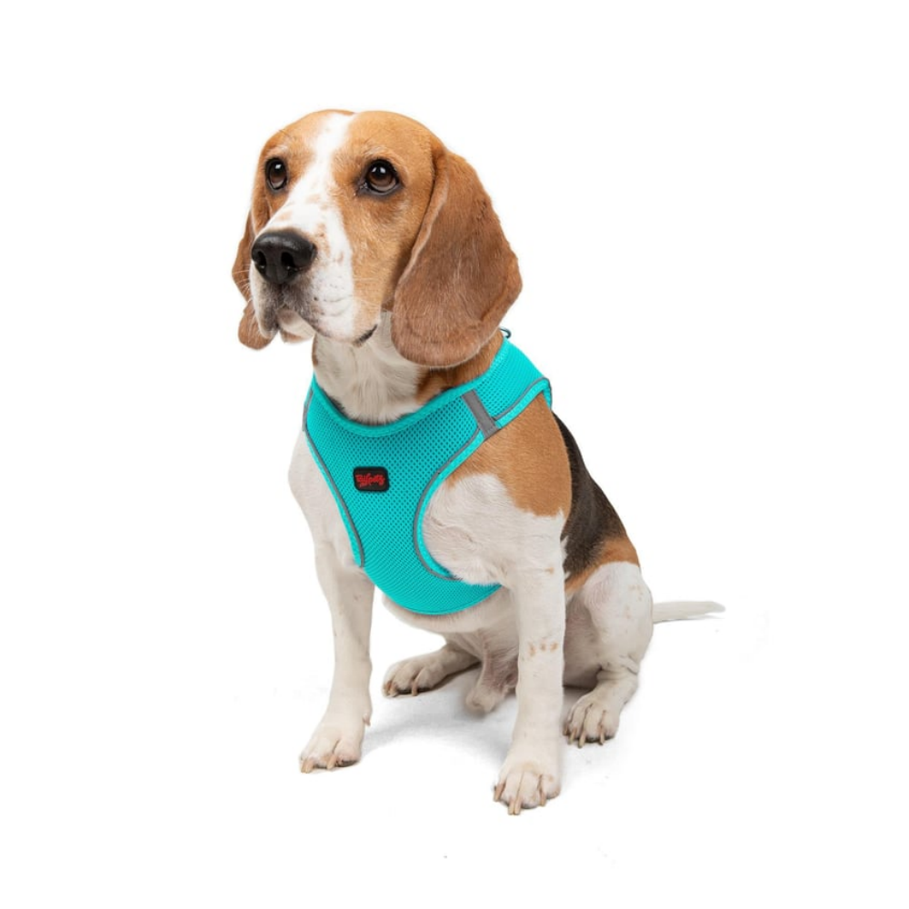 TailPetz Airmesh Ocean Köpek Göğüs Tasması L