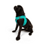 TailPetz Airmesh Ocean Köpek Göğüs Tasması M