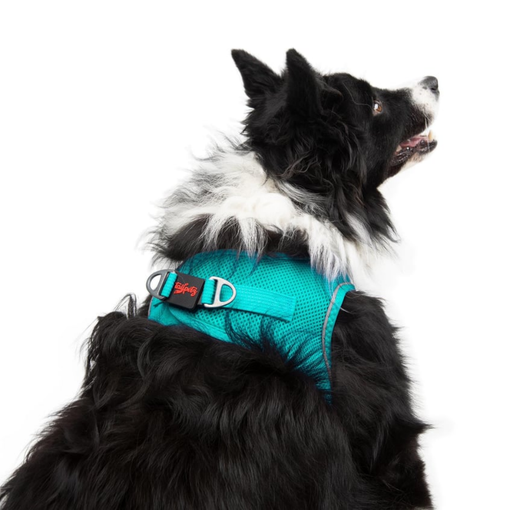 TailPetz Airmesh Ocean Köpek Göğüs Tasması XL