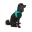 TailPetz Airmesh Ocean Köpek Göğüs Tasması XS