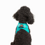 TailPetz Airmesh Ocean Köpek Göğüs Tasması XS